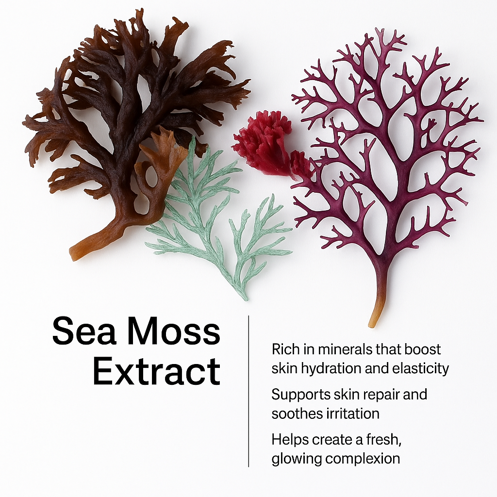 Ocean Glow Serum